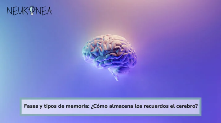 Fases y tipos de memoria